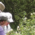 Two men looking at plants in a field.