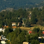 A town is surrounded by trees and a lighthouse.