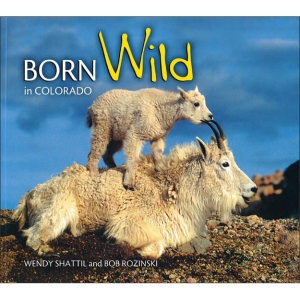 Born Wild in Colorado.