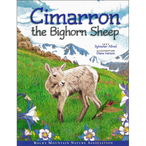 Cimarron the Bighorn Sheep