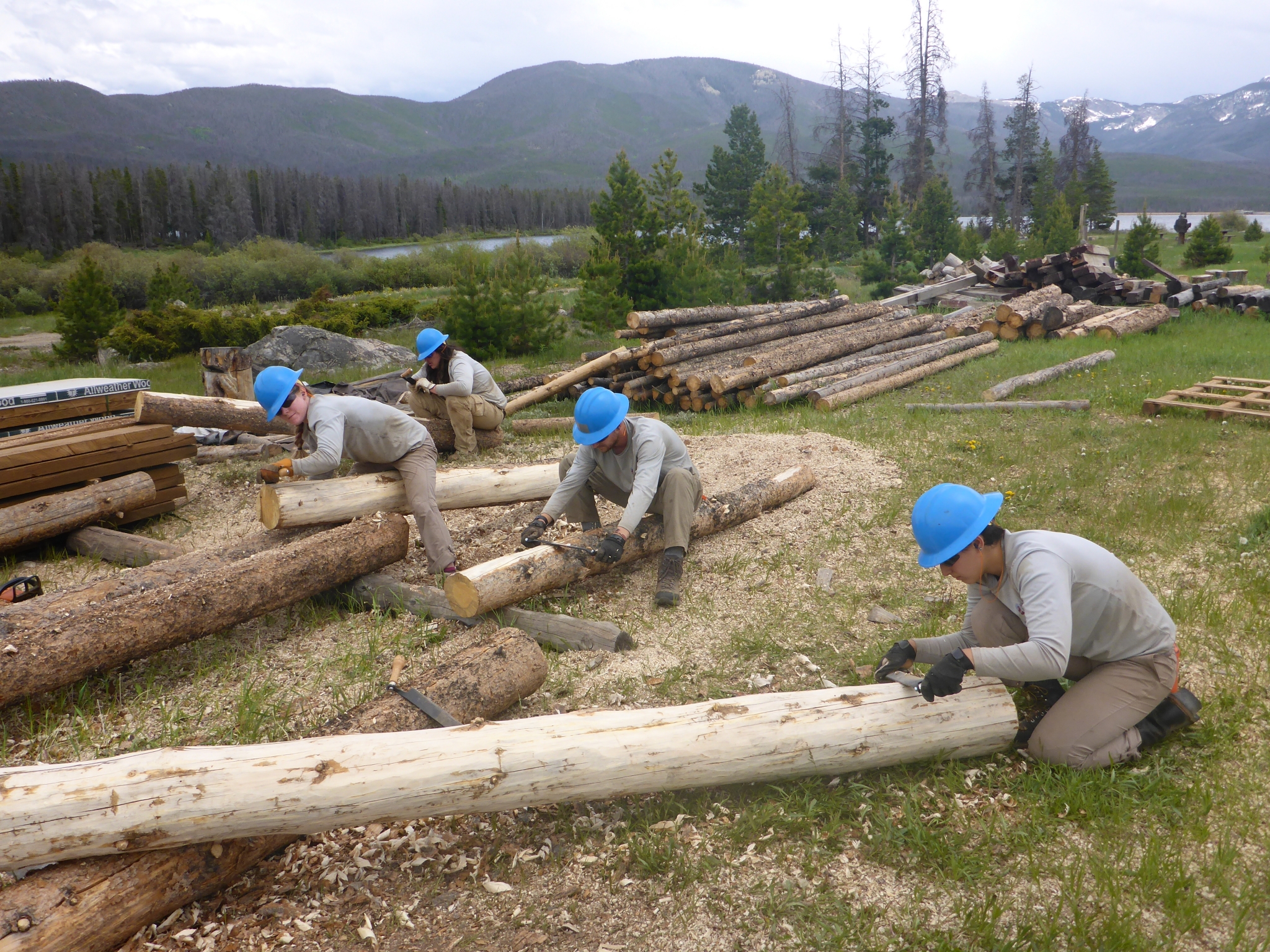 Skinning logs to be used for trail kiosks.