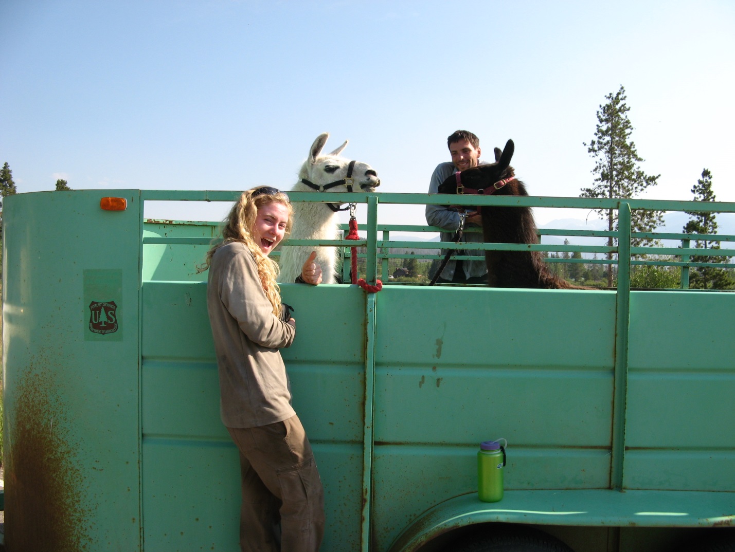 A man and a woman posing with a light and dark colored llama