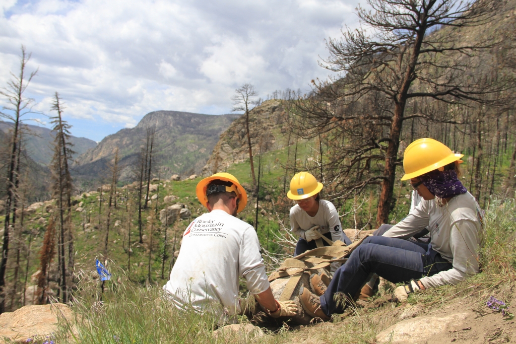 Three individuals wearing hard hats and protective gear work together to remove rocks in a mountainous, forested area under a cloudy sky.