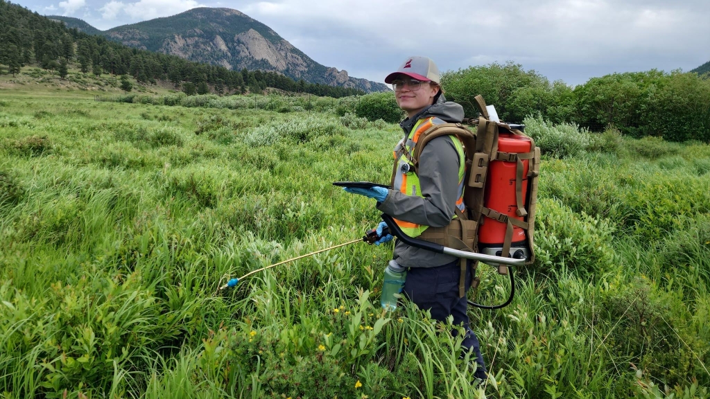 Person in field gear using a tablet and wearing a backpack sprayer, standing in a lush green meadow with mountains in the background.