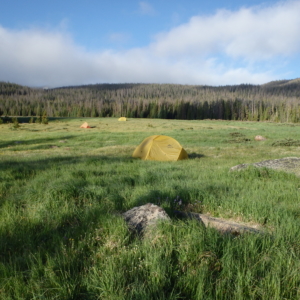 Tent on a vast meadow