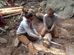 Two people sawing a log in a wooded area