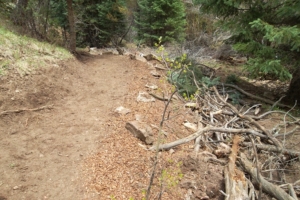 A winding dirt trail surrounded by dense green trees and scattered rocks