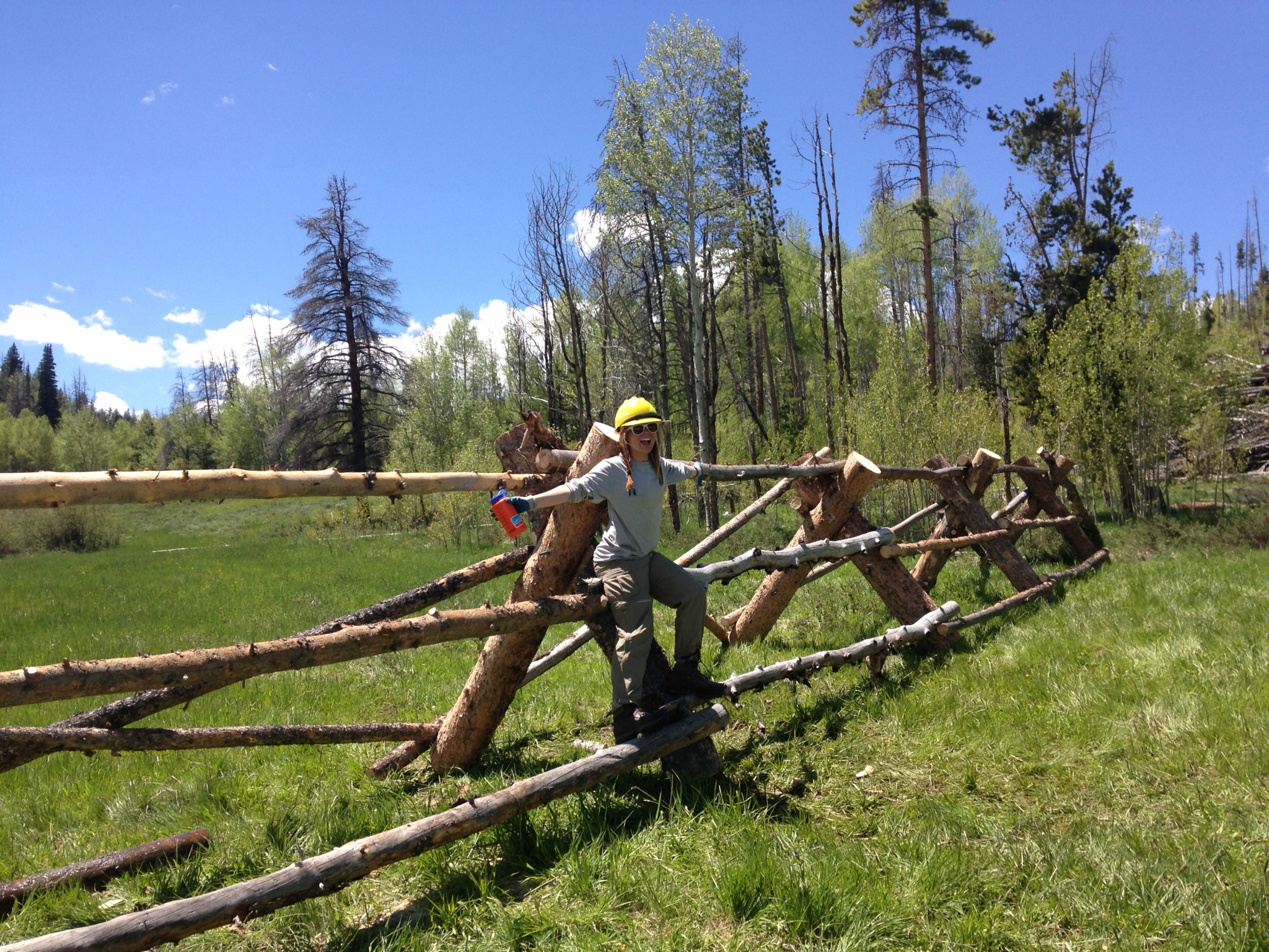 Completed Buck & Rail Fence at Elk Meadow