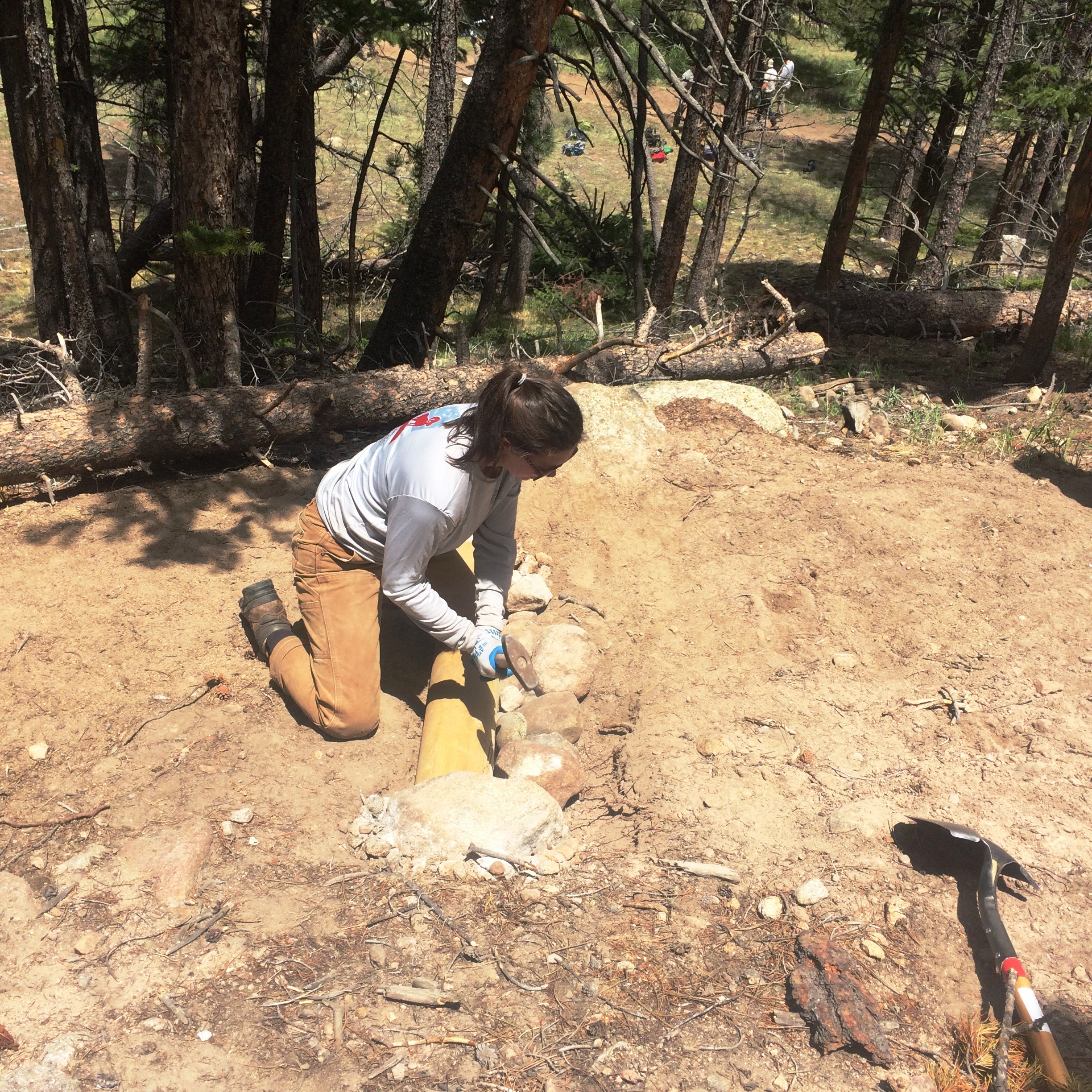 A person digs a trench in a forested area using a shovel