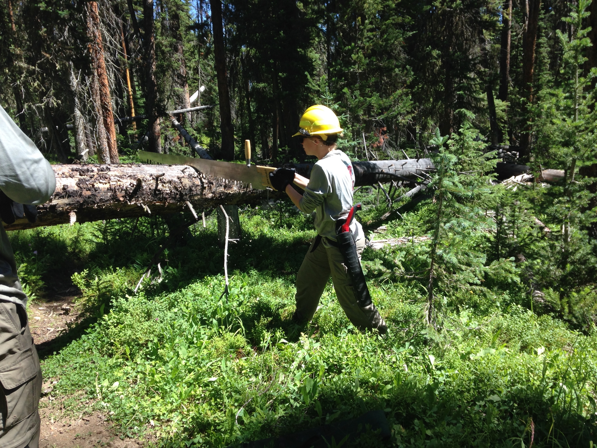 Clearing trees on the High Lonesome Trail