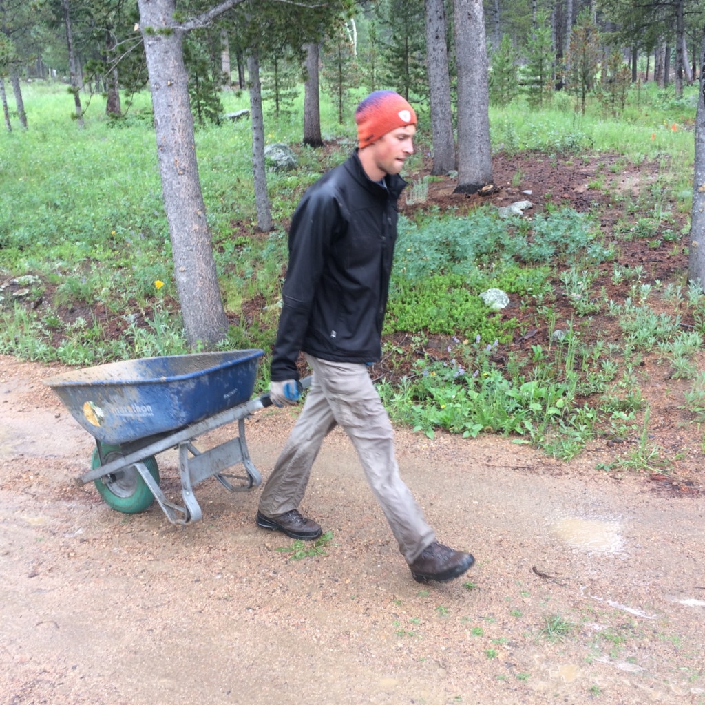 A person walking in a forest while pulling a blue wheelbarrow