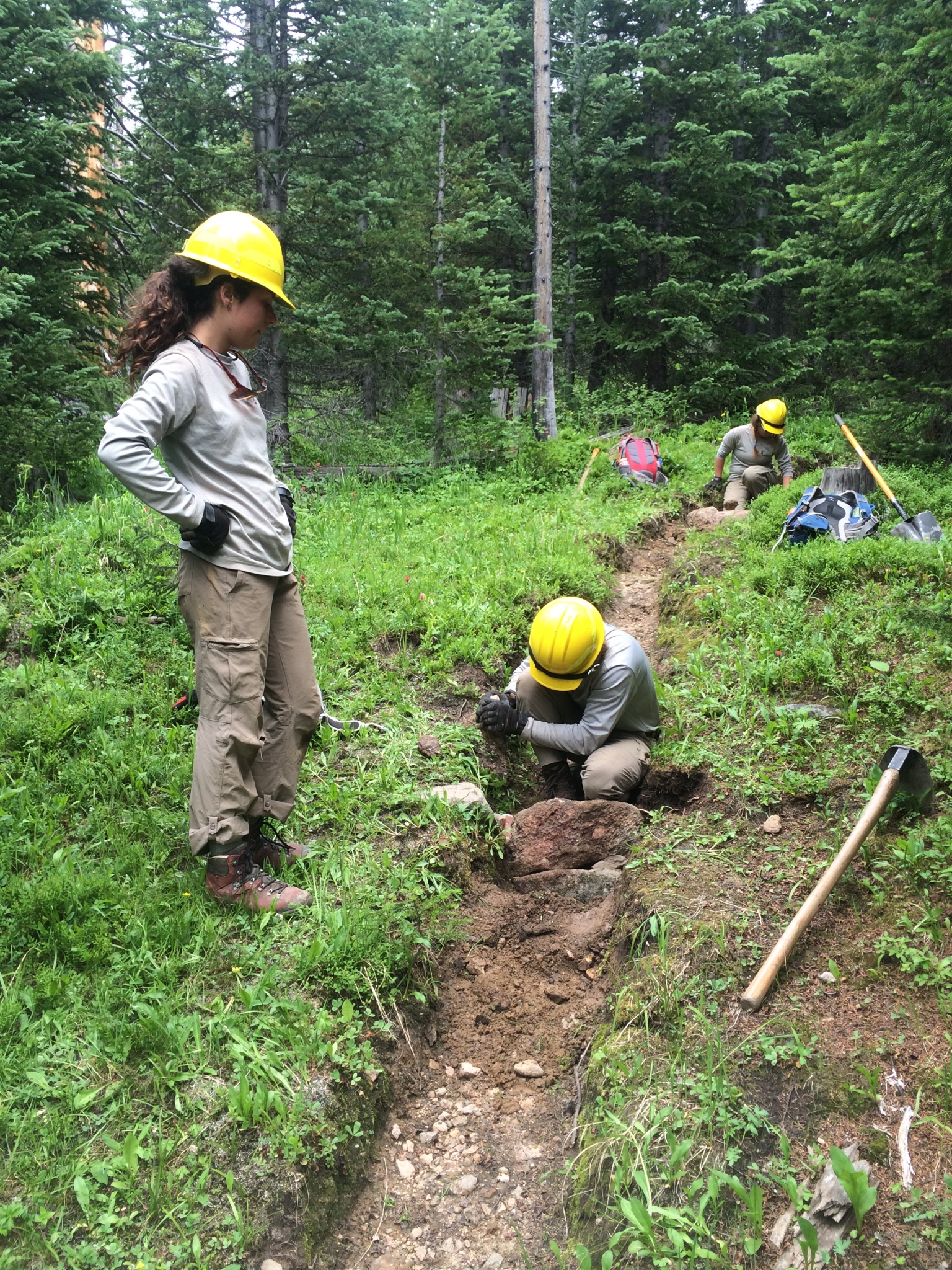 Installing check dams on teh Wolverine Bypass Trail