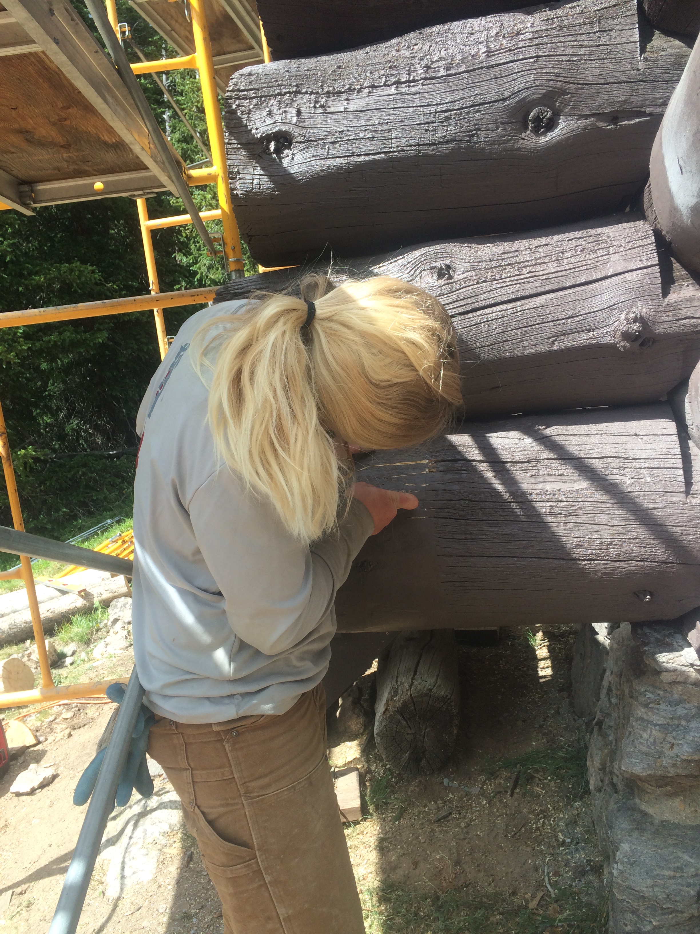 Jenna working to assimilate new logs into the historic structure.