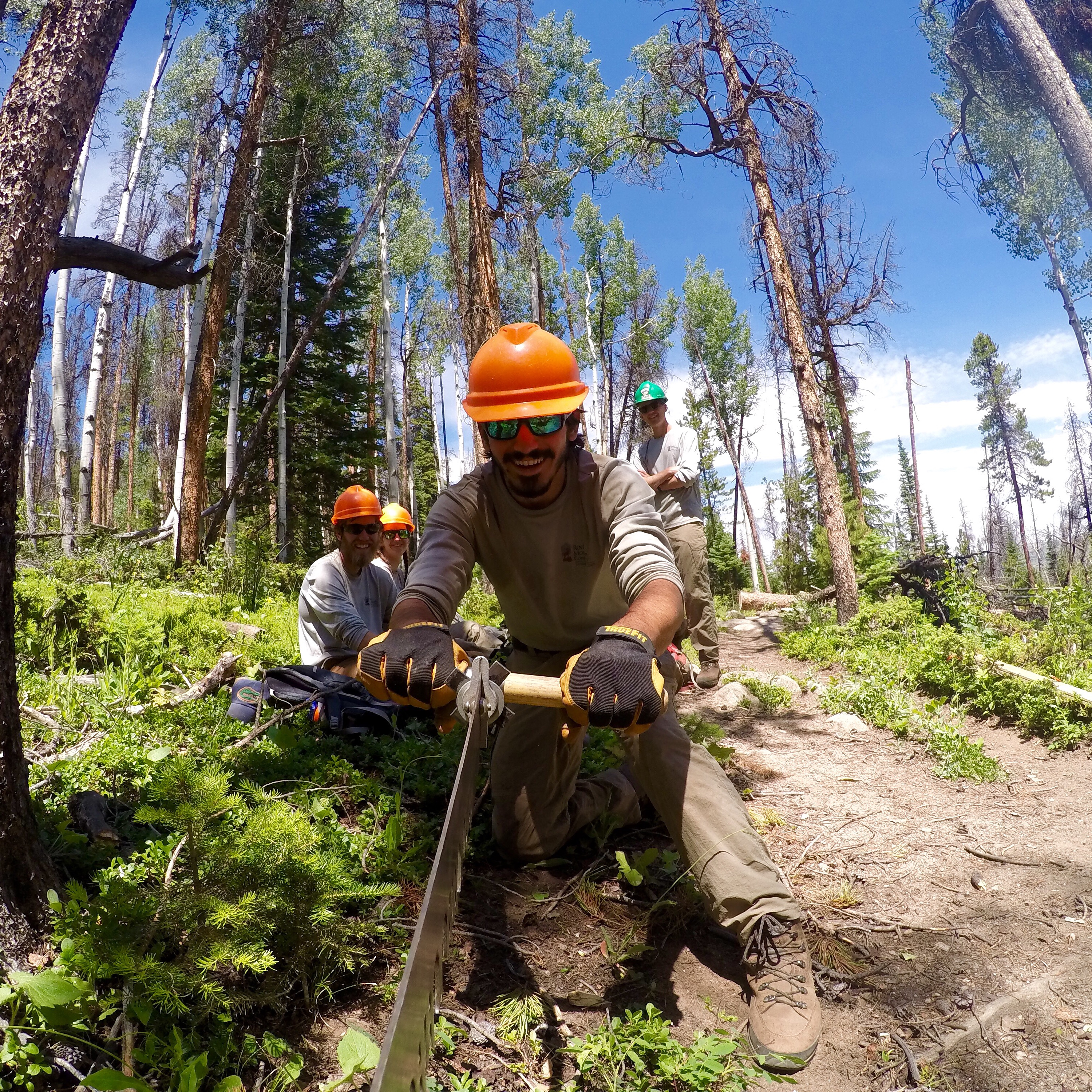 One of my favorite parts of doing trail work is cross cutting fallen trees off the trail. This moment was captured on the McIntyre trail in the Rawah Wilderness.