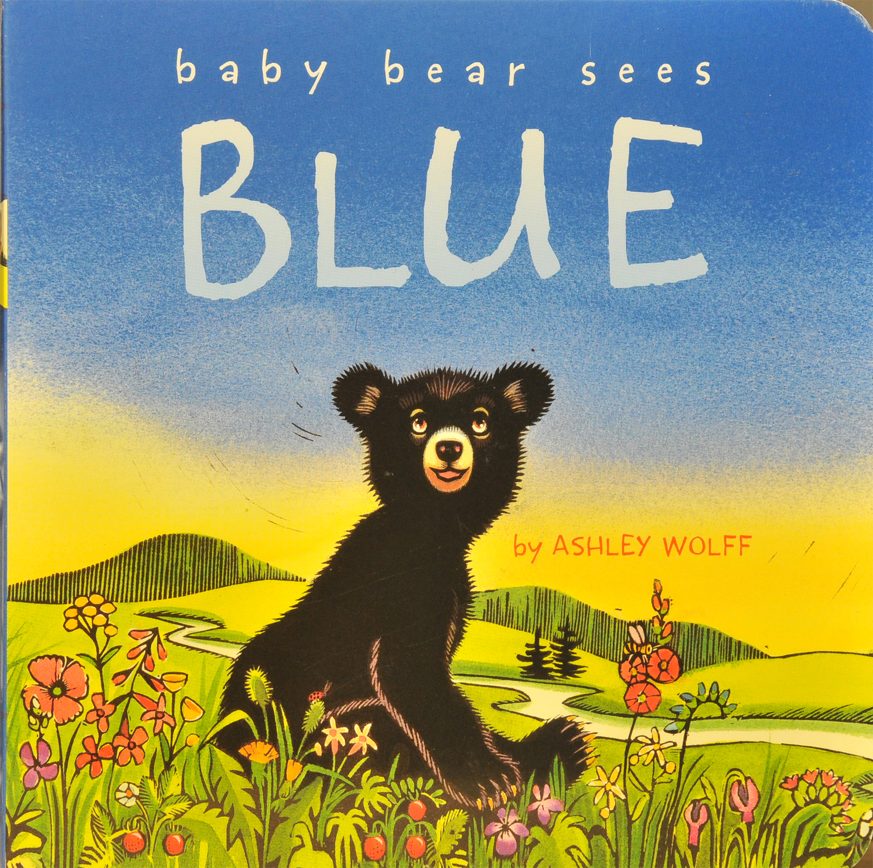 Book　Mountain　Bear　Blue　Conservancy　Board　Rocky　Baby　Sees