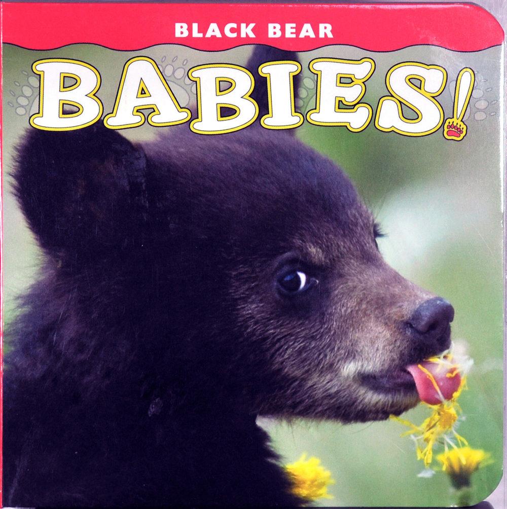 BearBabies copy