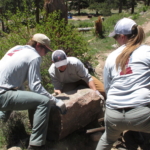 A group of people working on a rock in a wooded area.