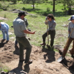 A group of people working in a field with shovels.