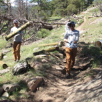 A group of people carrying logs down a hill.