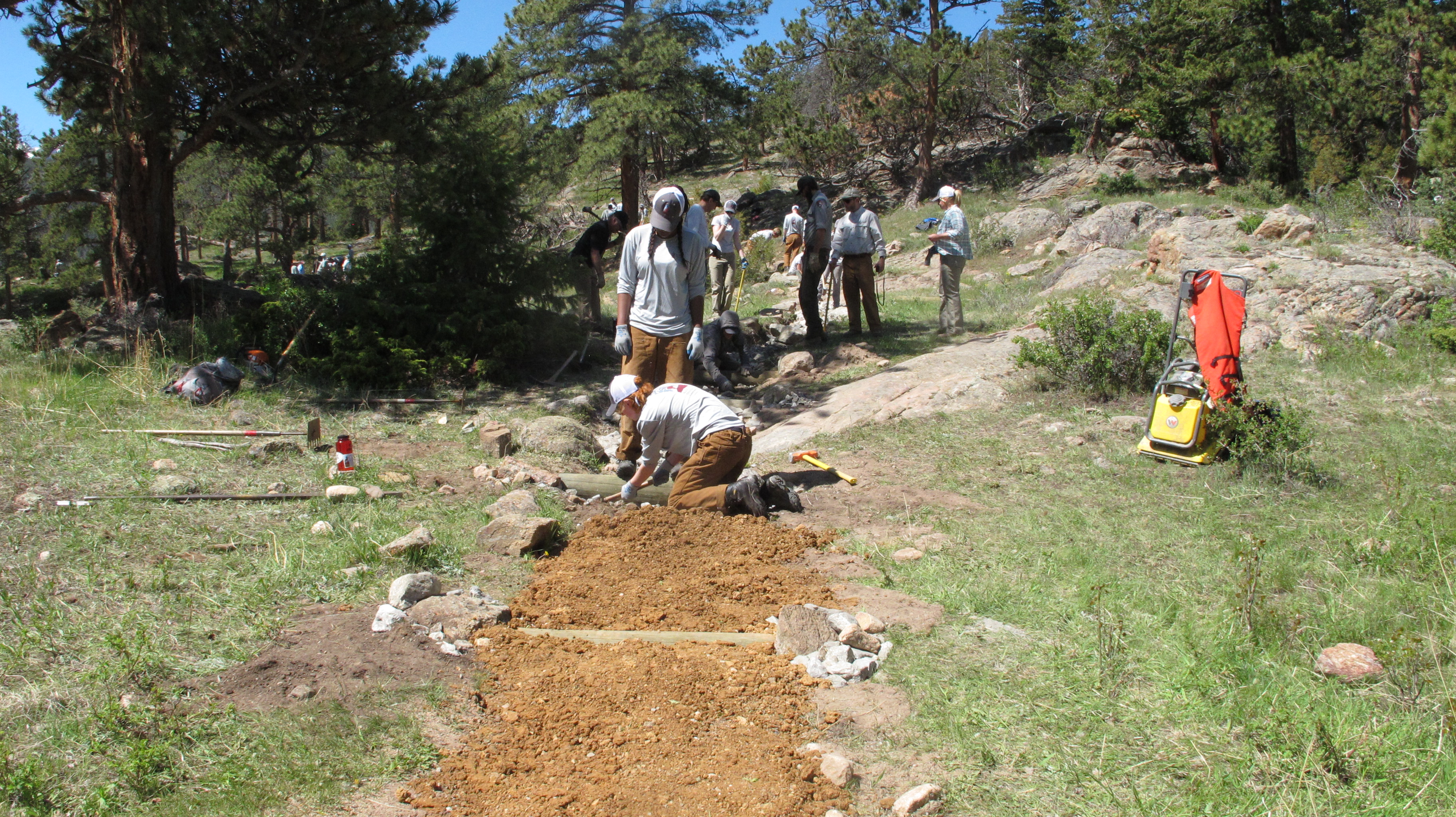 Workers setting up a forest trail