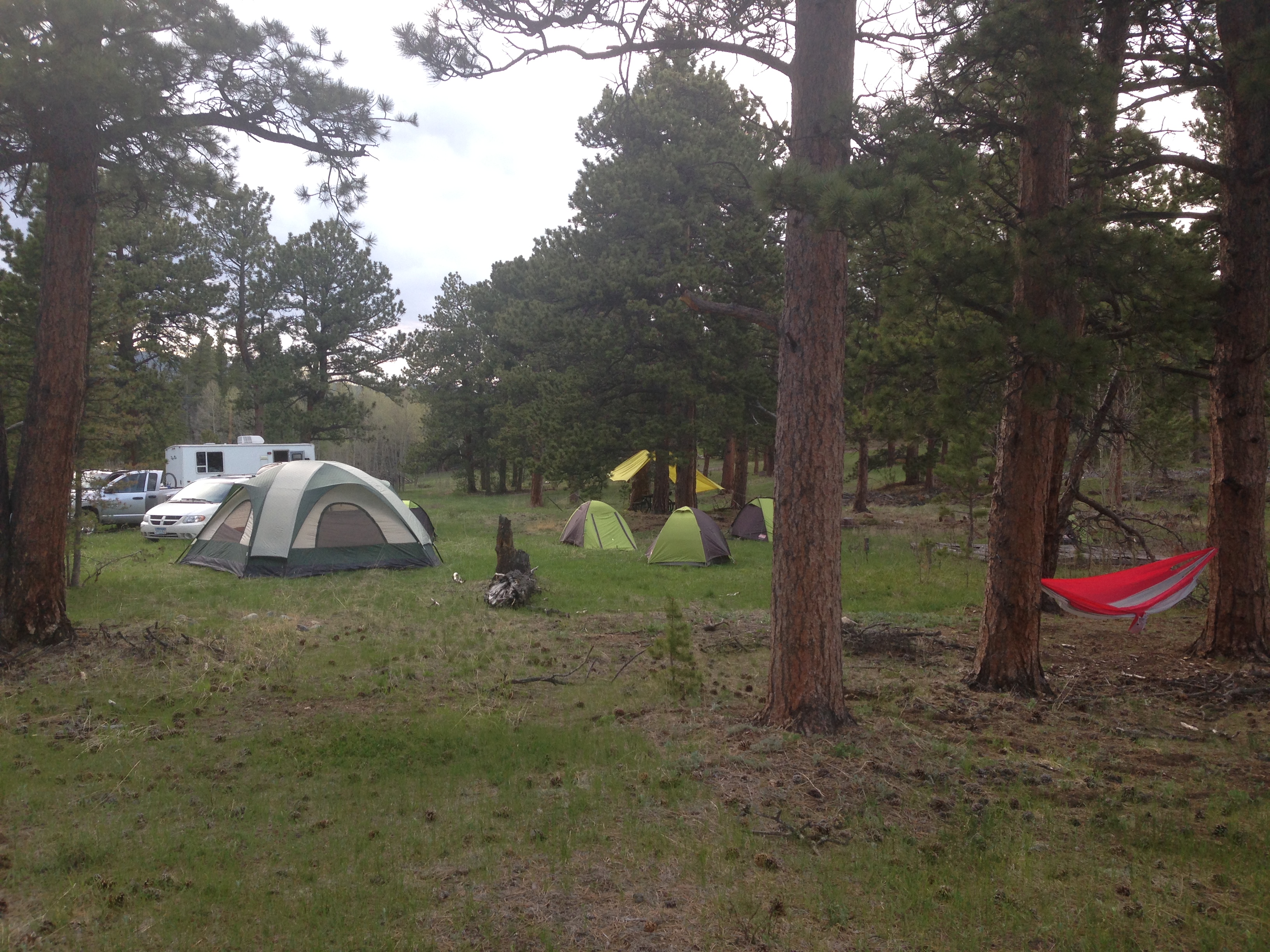 Multiple tents situated in a forest