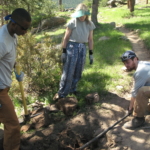 A group of people digging a hole in a wooded area.