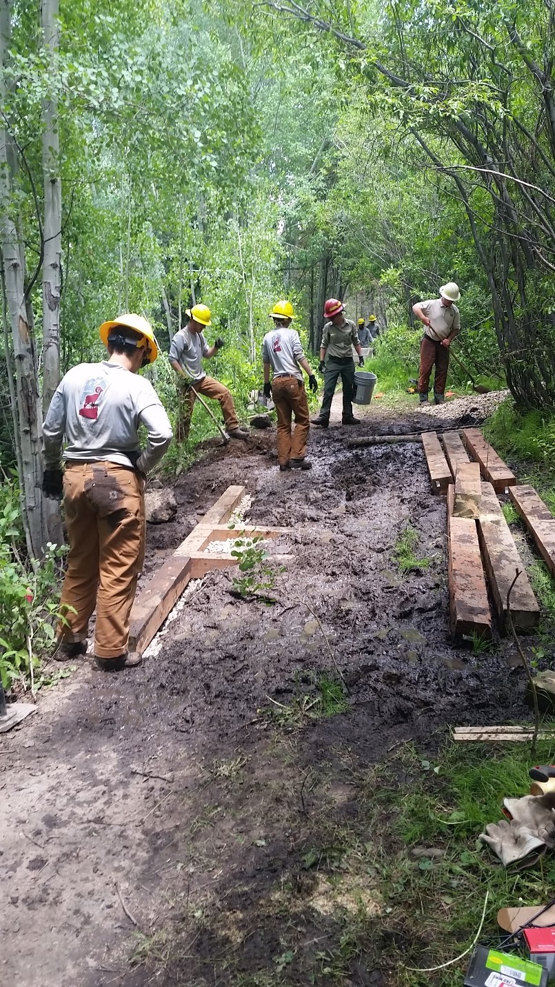 A group of forest workers constructing a wooden pathway over a muddy section of a trail