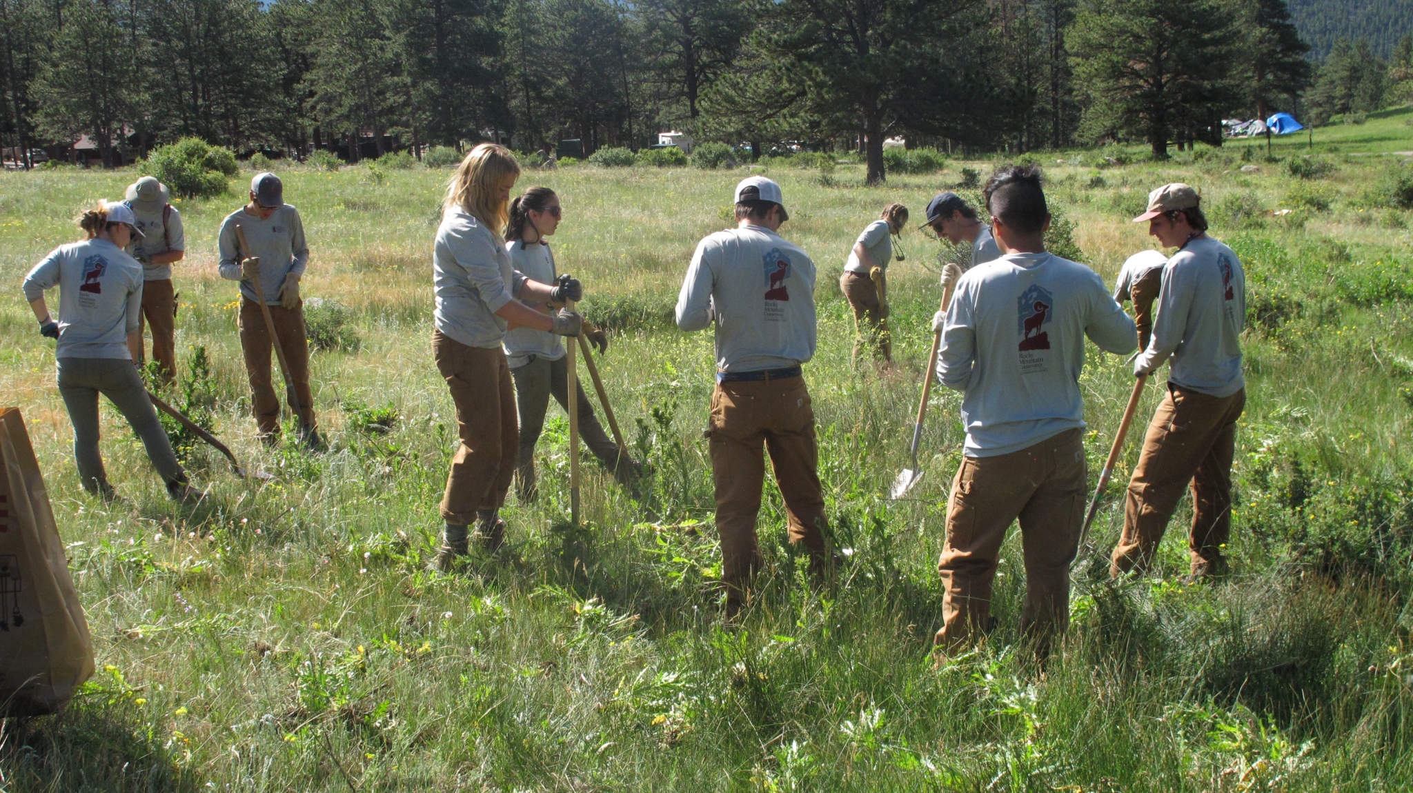 Group of volunteers participating in an outdoor environmental cleanup