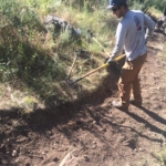 A man using a shovel to dig a path.