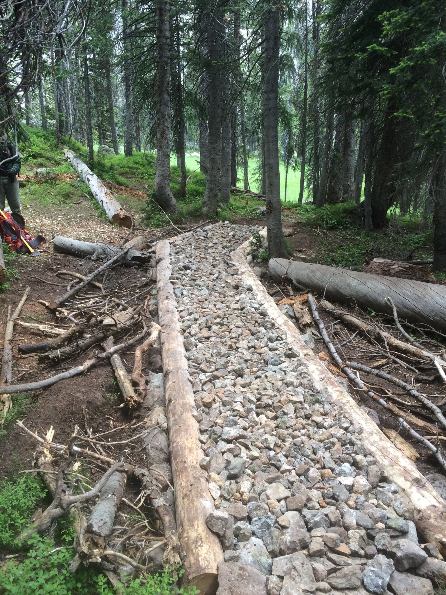 A narrow trail reinforced with logs and filled with gravel winds through a dense, green forest.