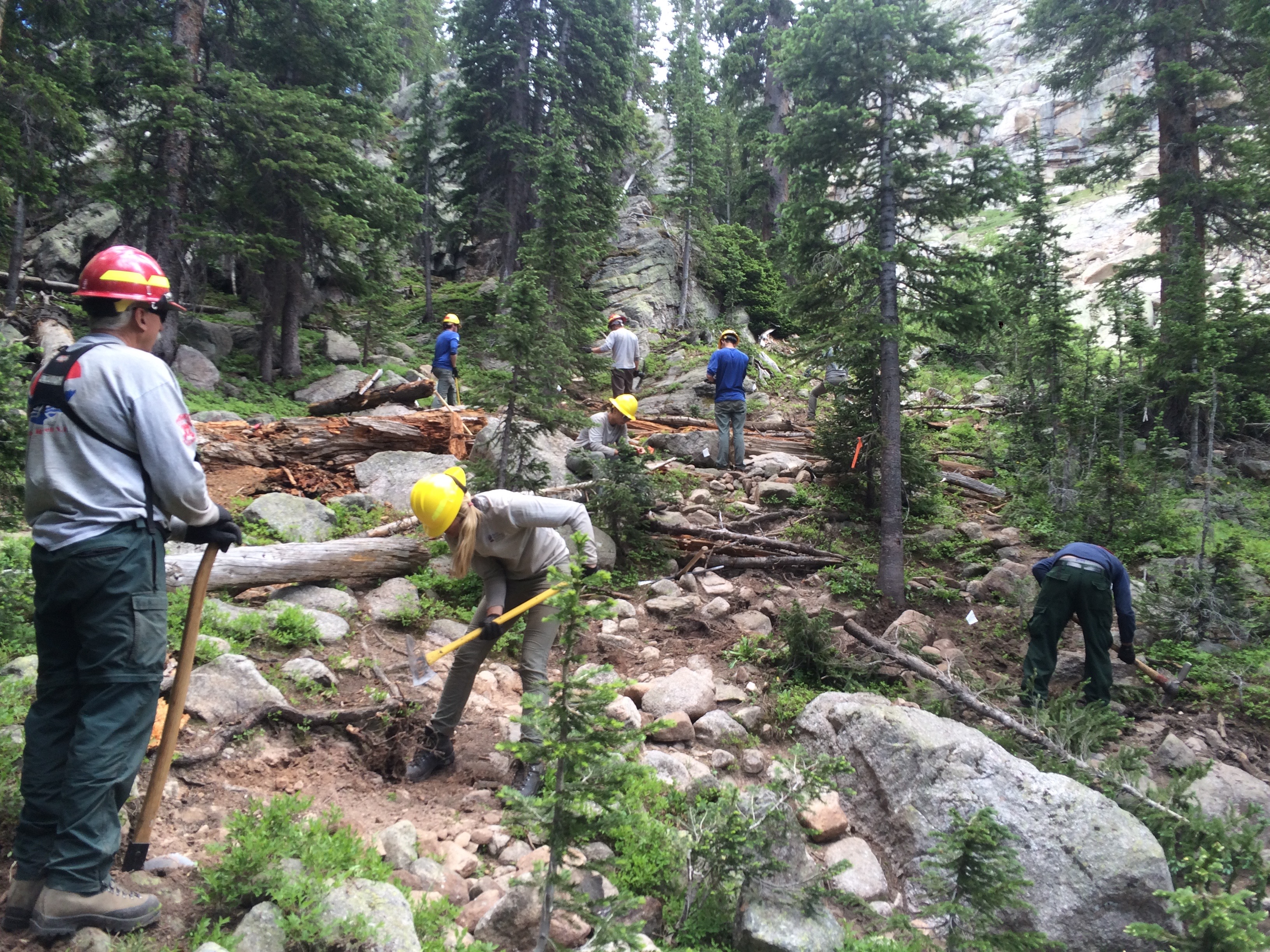 Group of forest workers clearing fallen trees and debris from a rocky woodland path