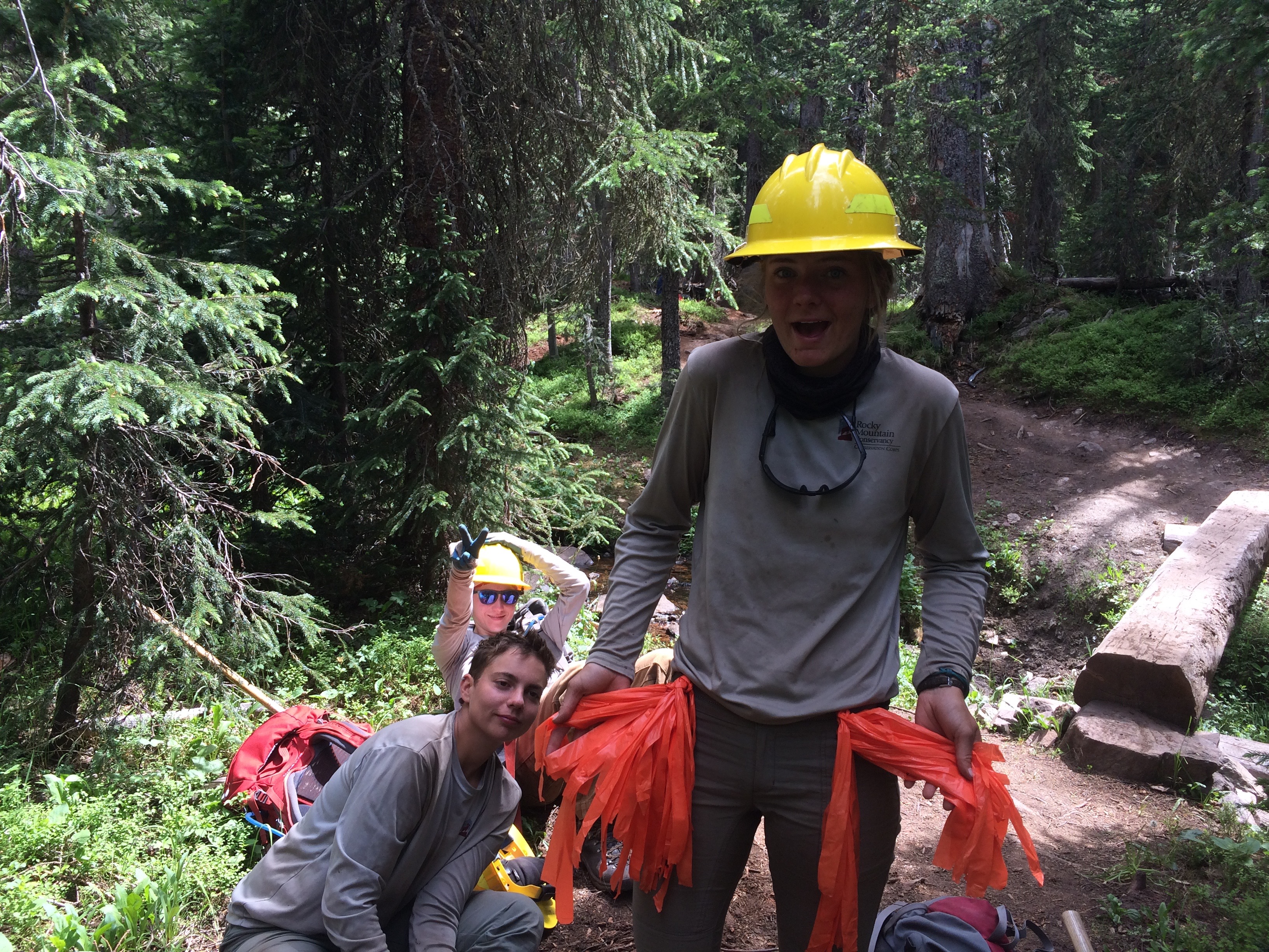 Three people in safety gear posing in a forest