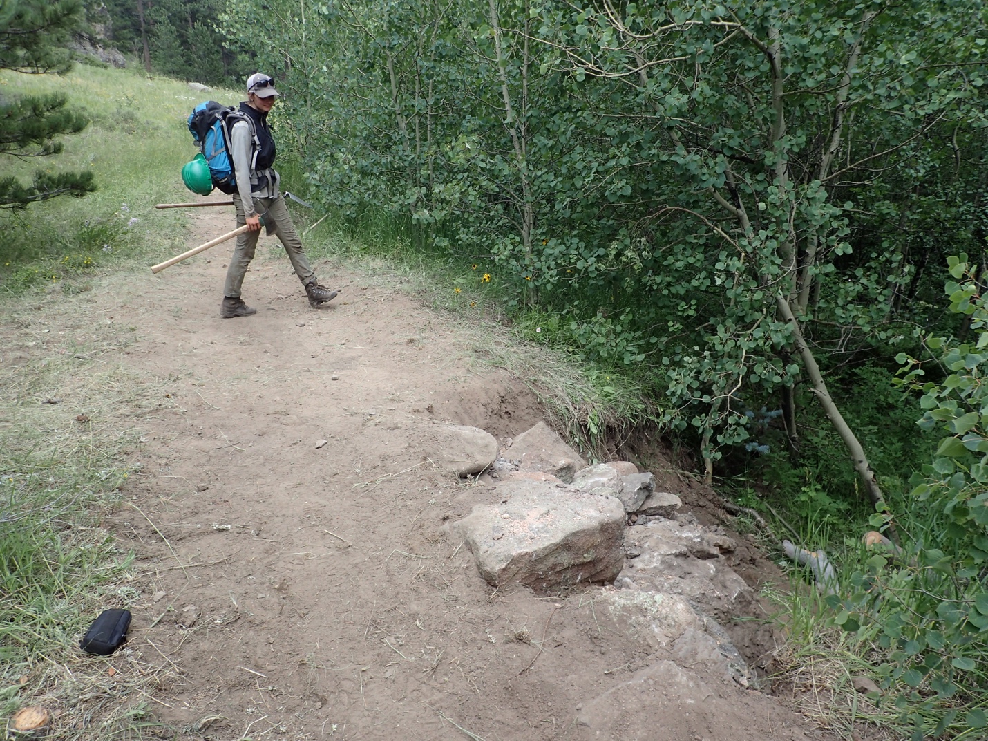 A hiker with a backpack and hiking poles stands on a dirt trail near an erosion barrier of rocks and logs, surrounded by green shrubs.