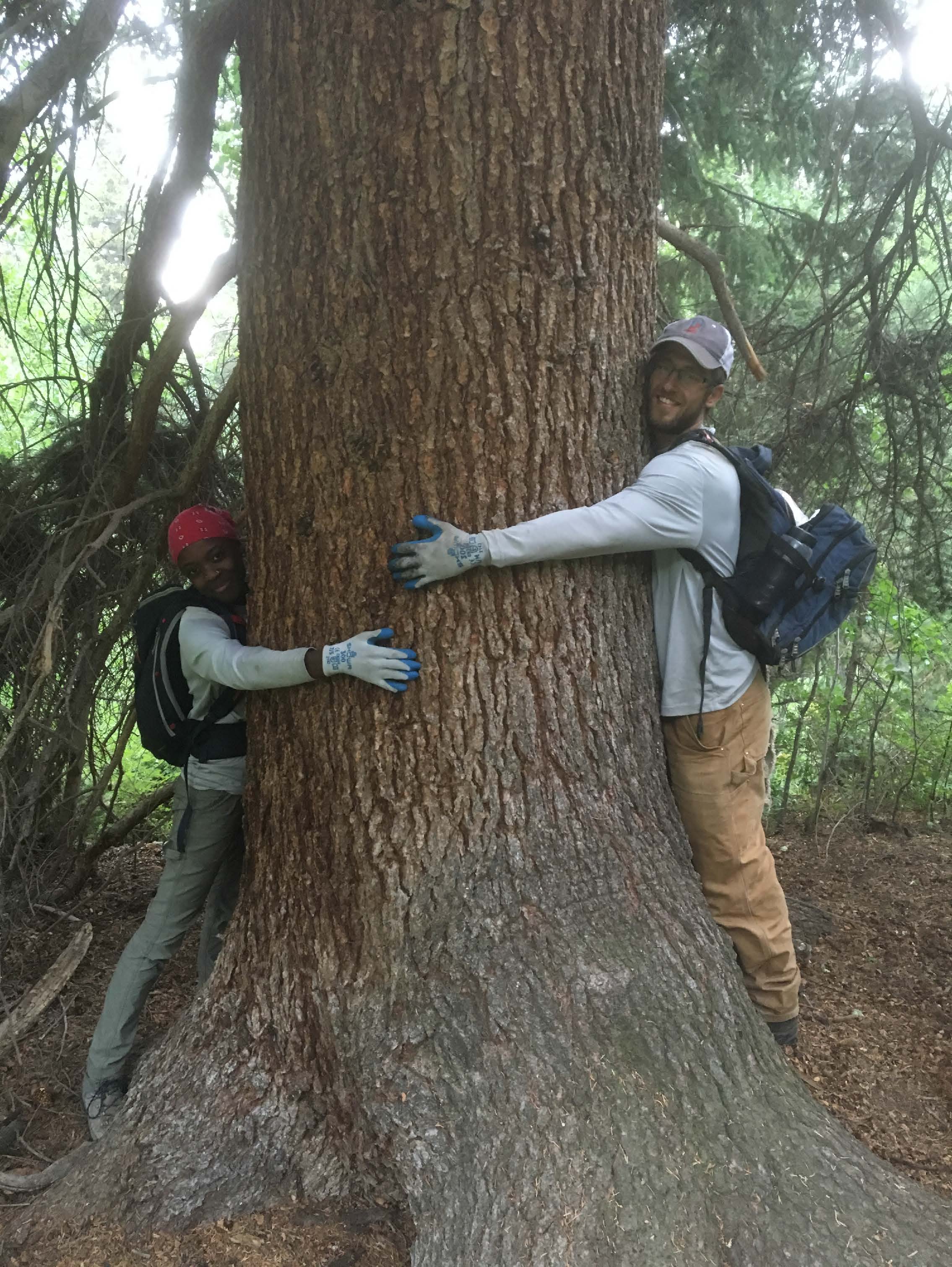 Two people, one wearing a red helmet and the other a cap, hugging a large tree in a dense forest.