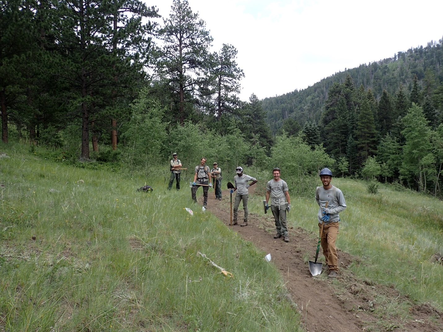 A group of people working with shovels and tools on a trail restoration project in a forested mountain area.