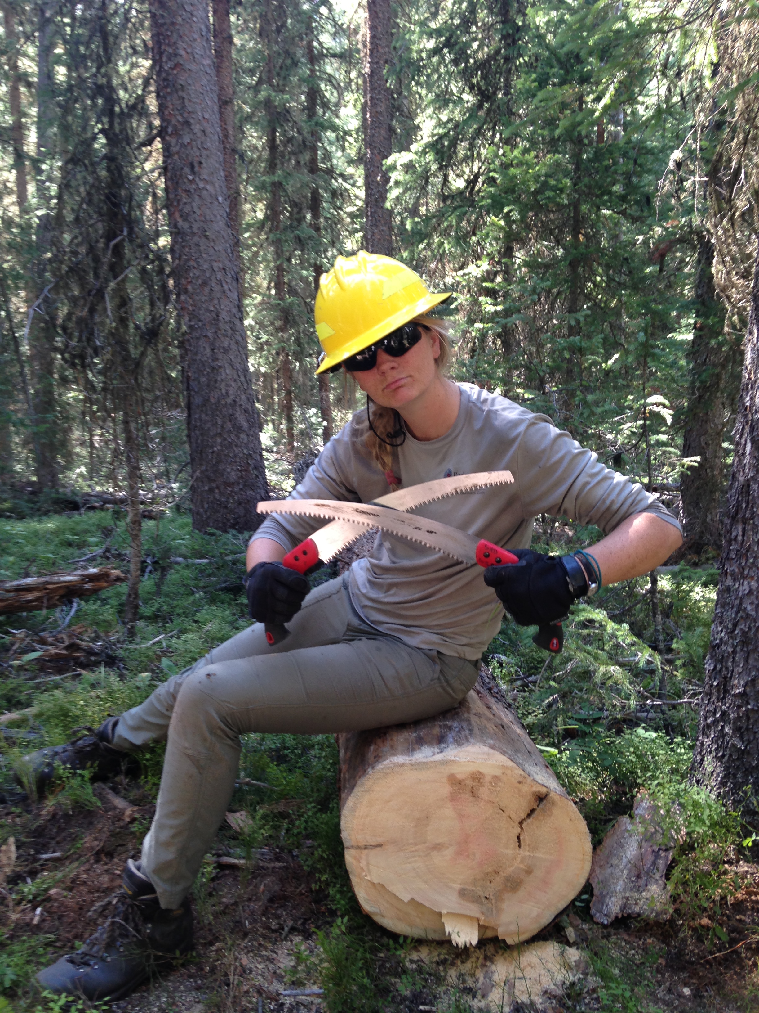 Forestry worker sitting on a felled log in a forest