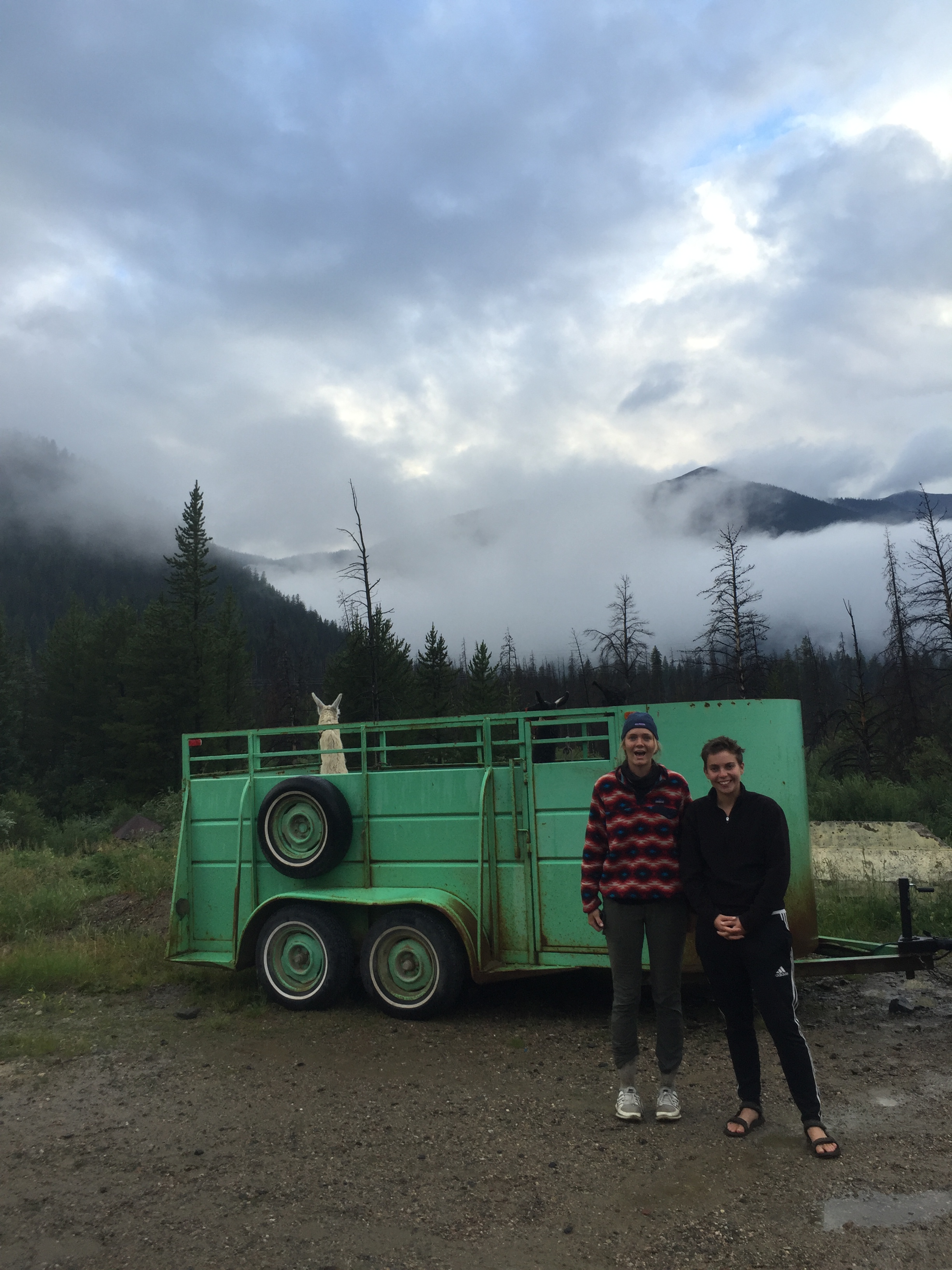 Two people standing by a green trailer with a dog on top, set against a foggy mountainous landscape.