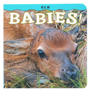 Colorado Babies board book.