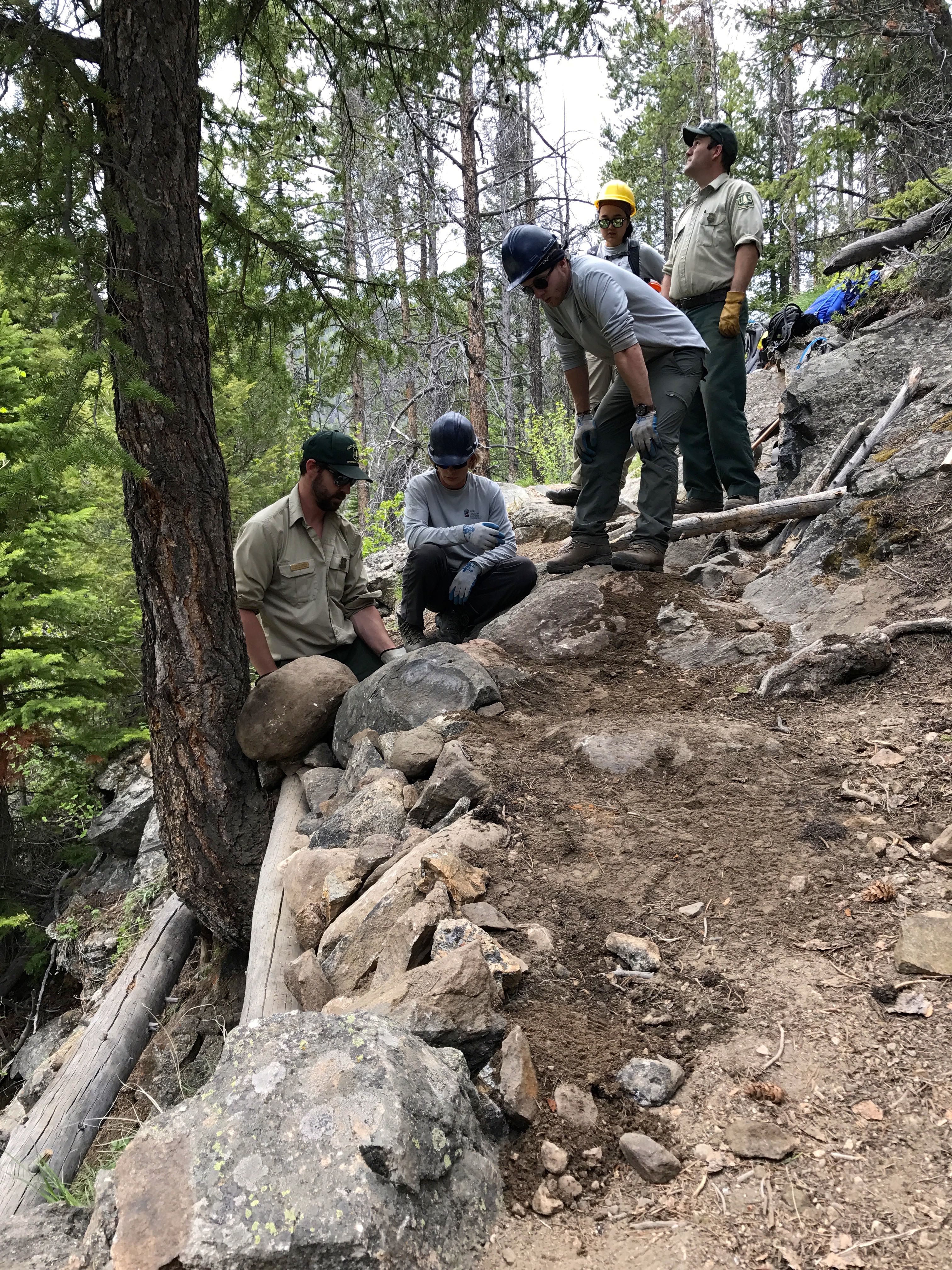 Four forest workers in helmets and uniforms examining a trail construction site in a wooded area.