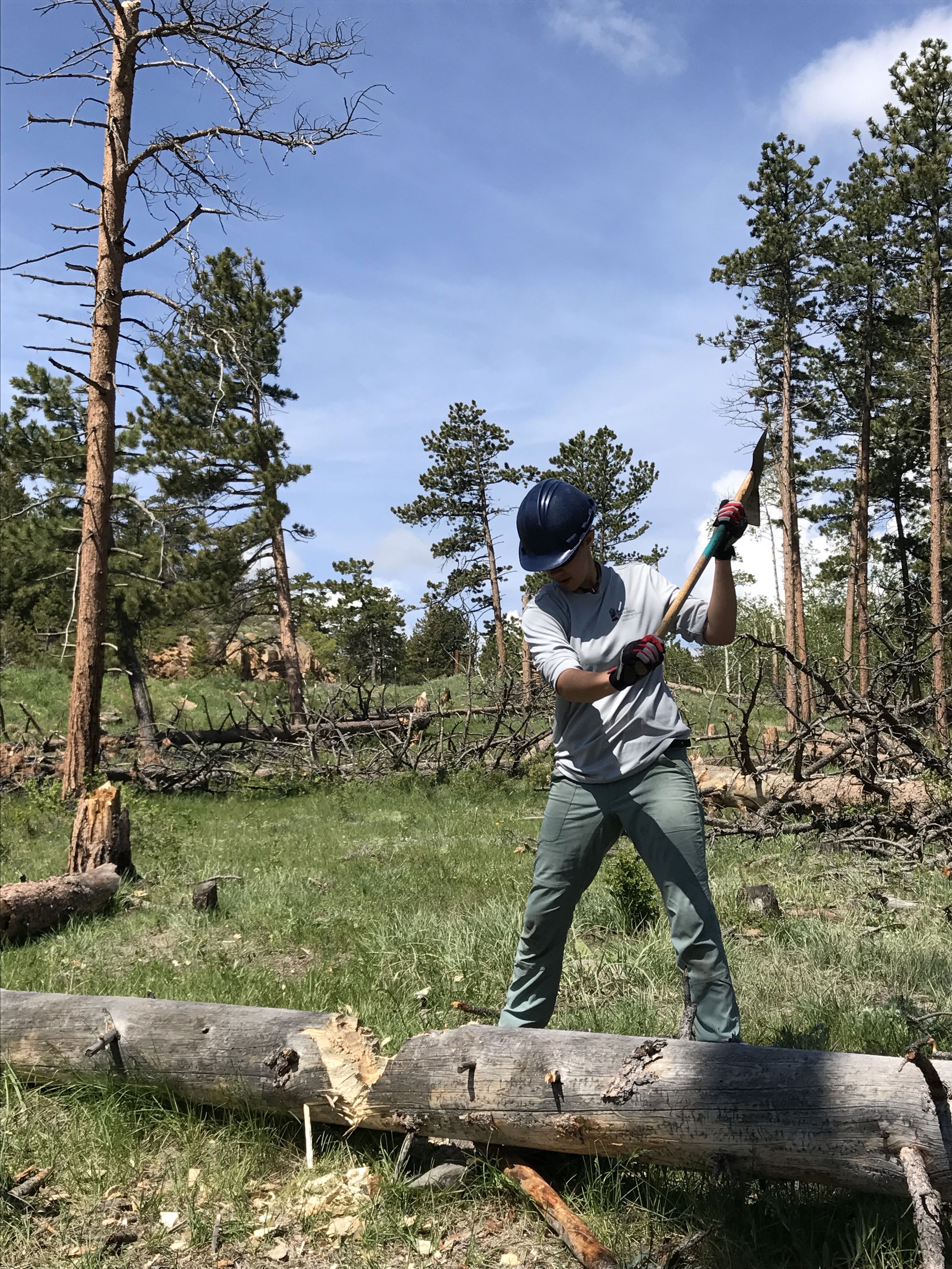 A person wearing a helmet and gloves using an axe to chop wood on a fallen log in a forested area.