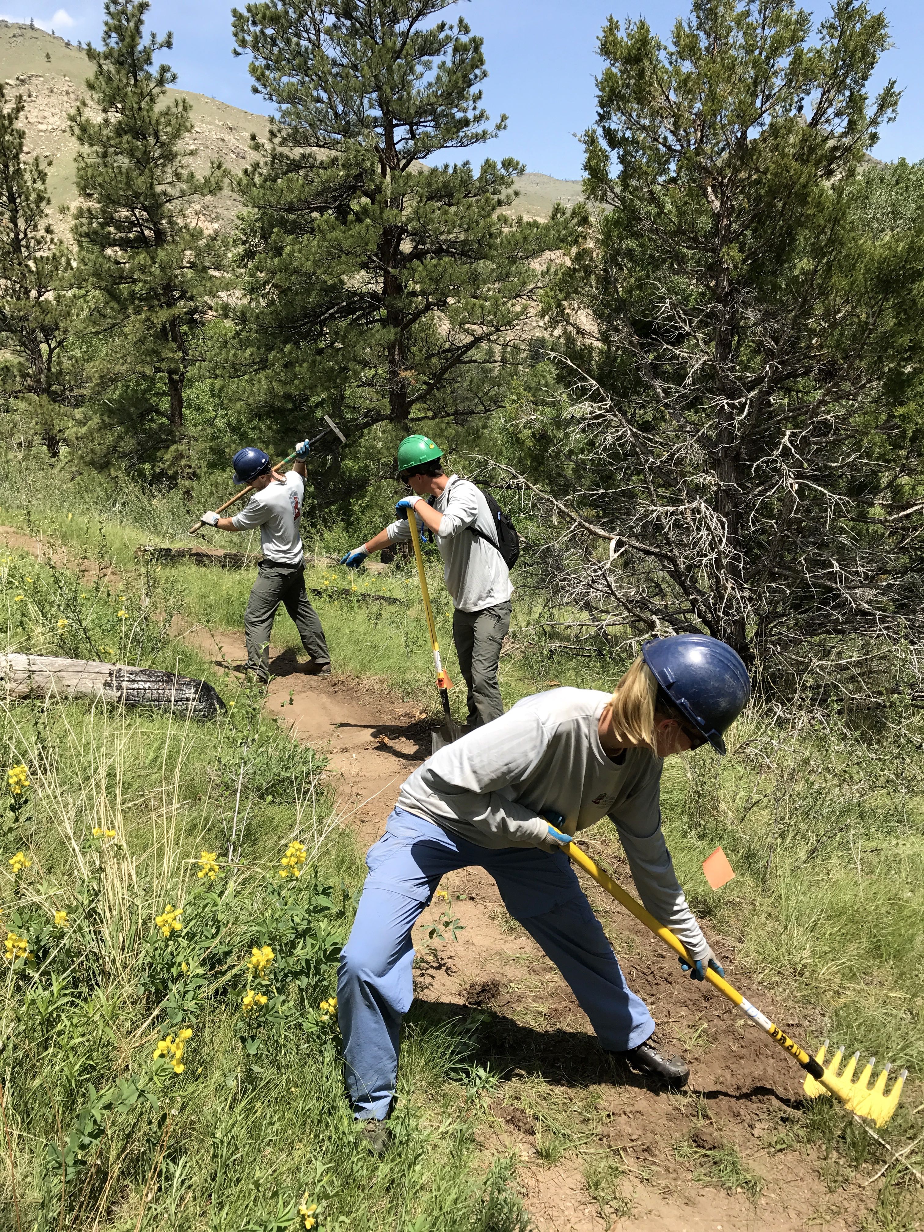 Three people wearing helmets and gloves use hand tools to dig and clear a trail in a forested area.