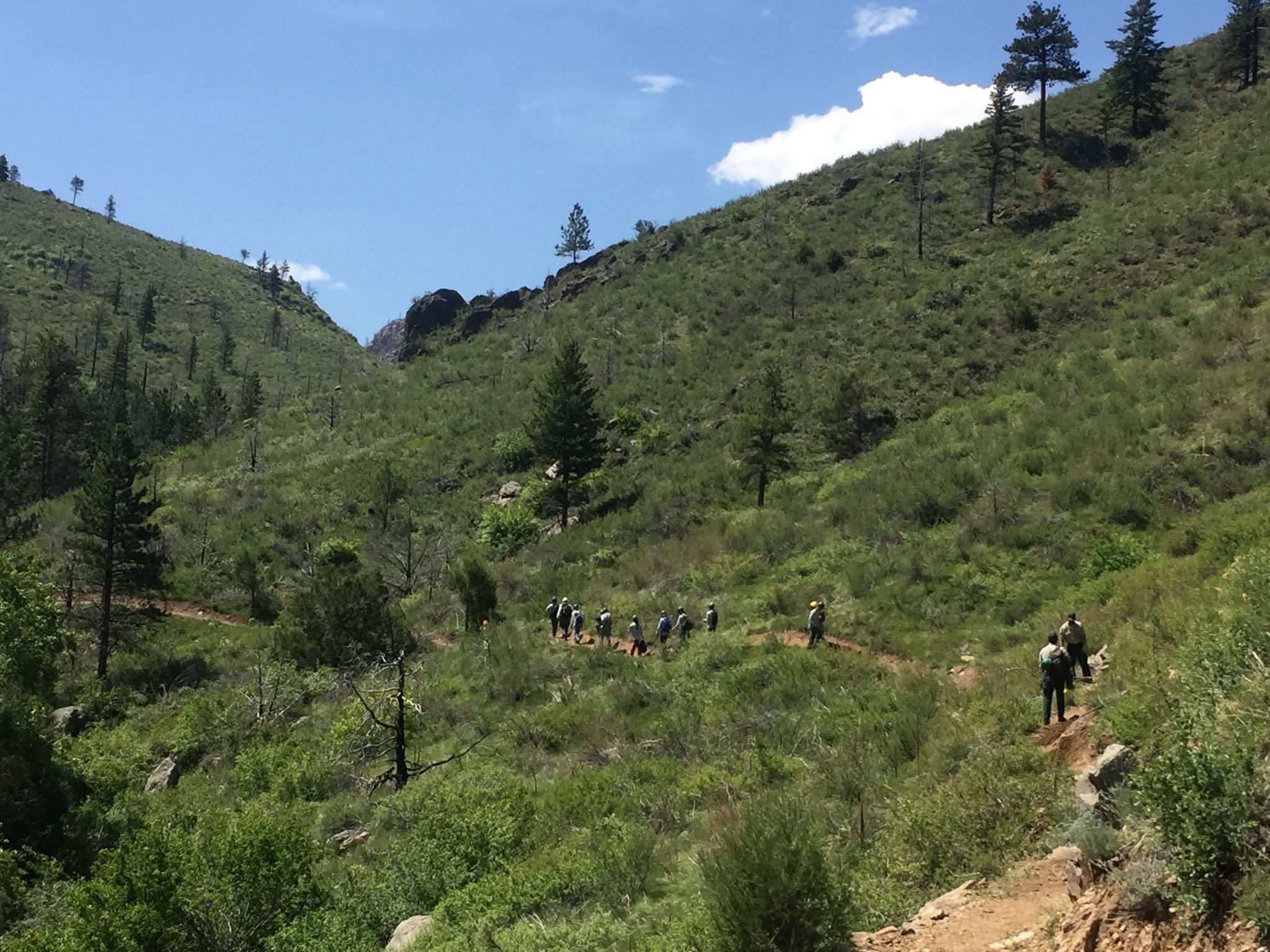 A group of hikers walking along a trail in a hilly, grassy terrain