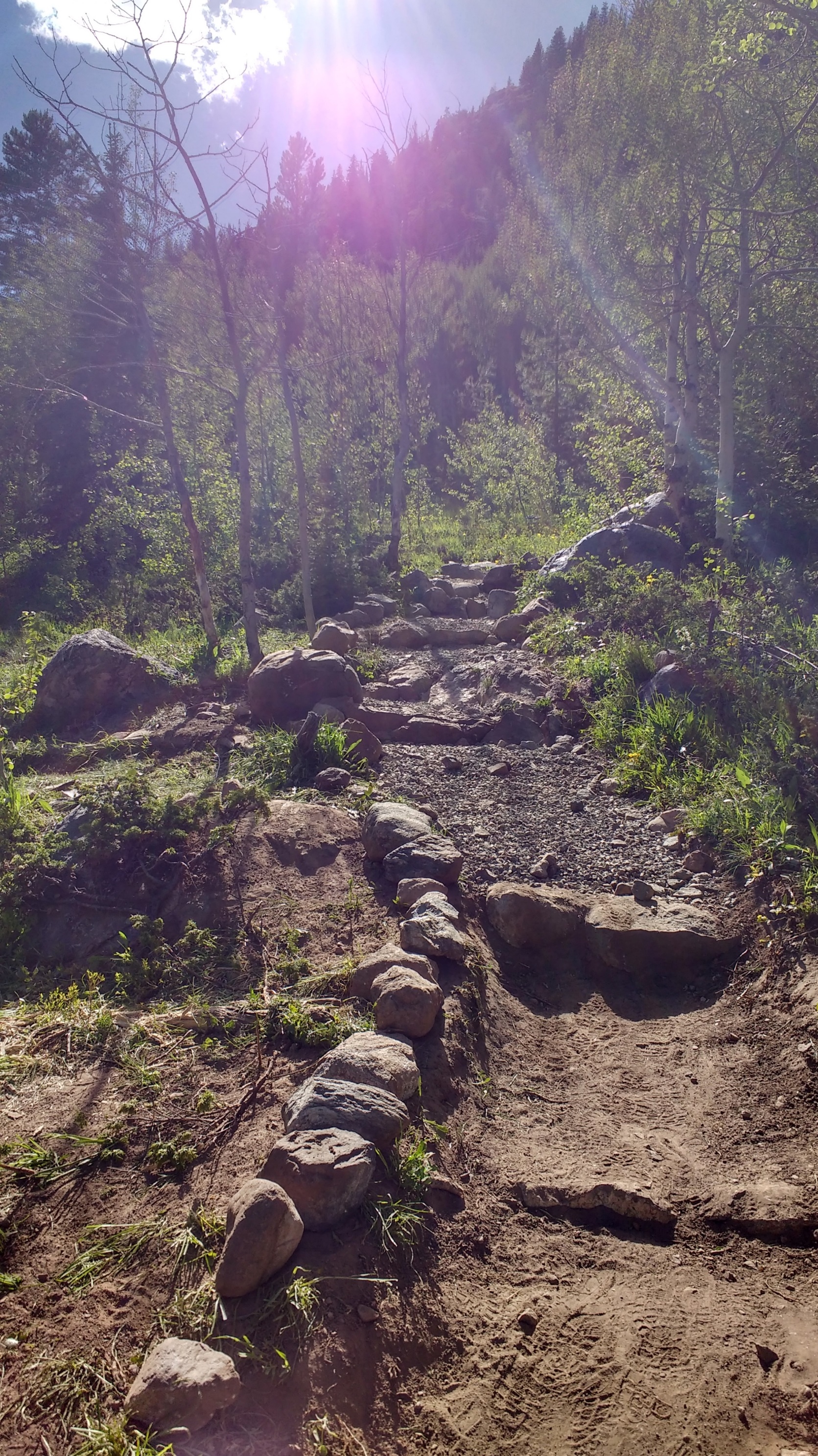 Sunlit forest trail with rocks and boulders