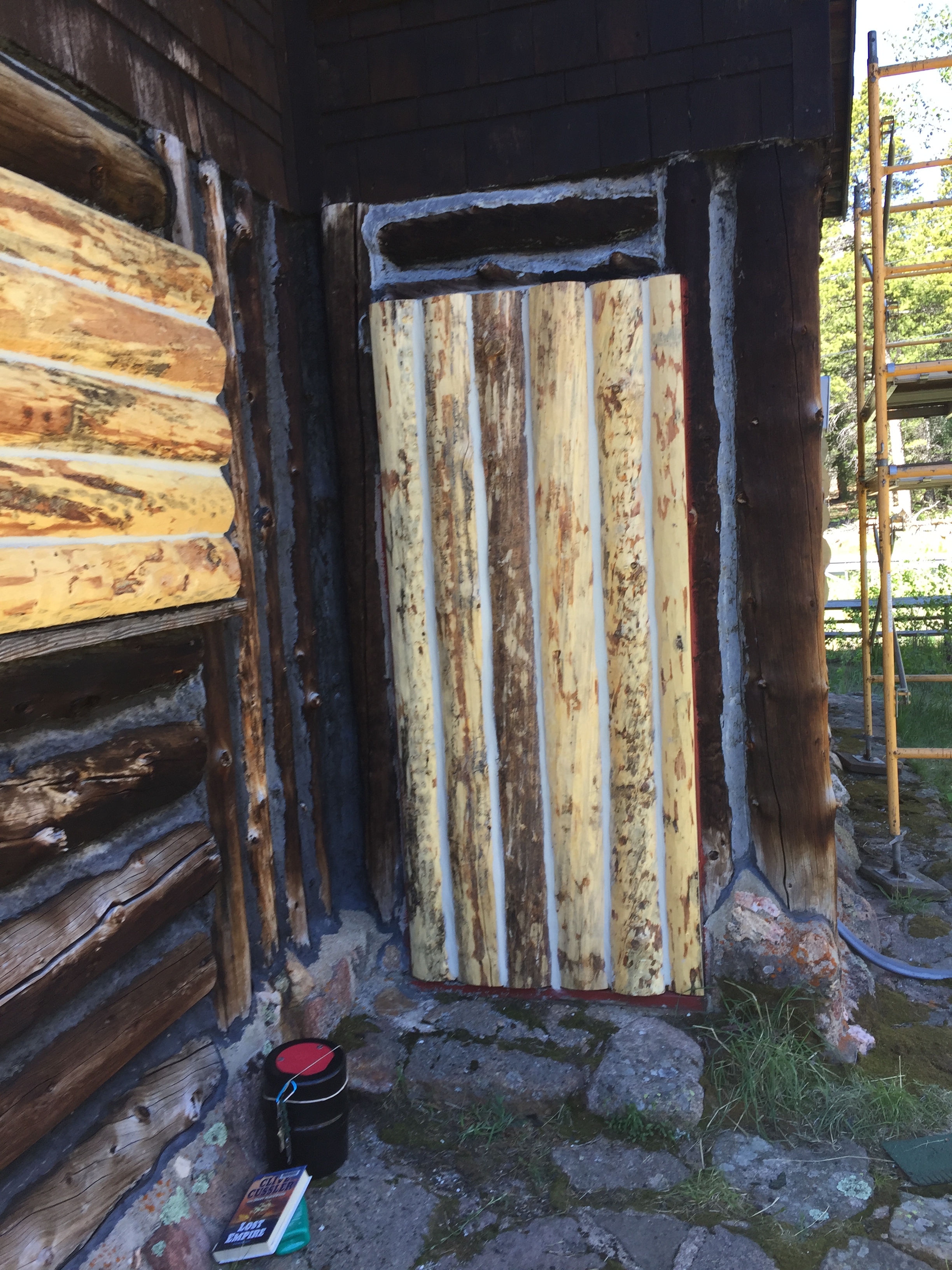 Worn wooden door propped against a log cabin