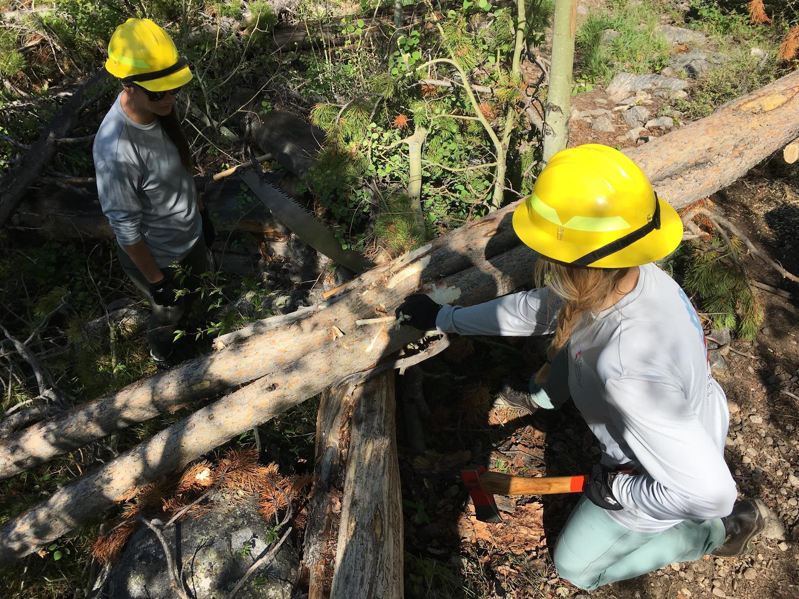 Two people in yellow hard hats clearing fallen trees with a chainsaw and an axe in a forest setting.