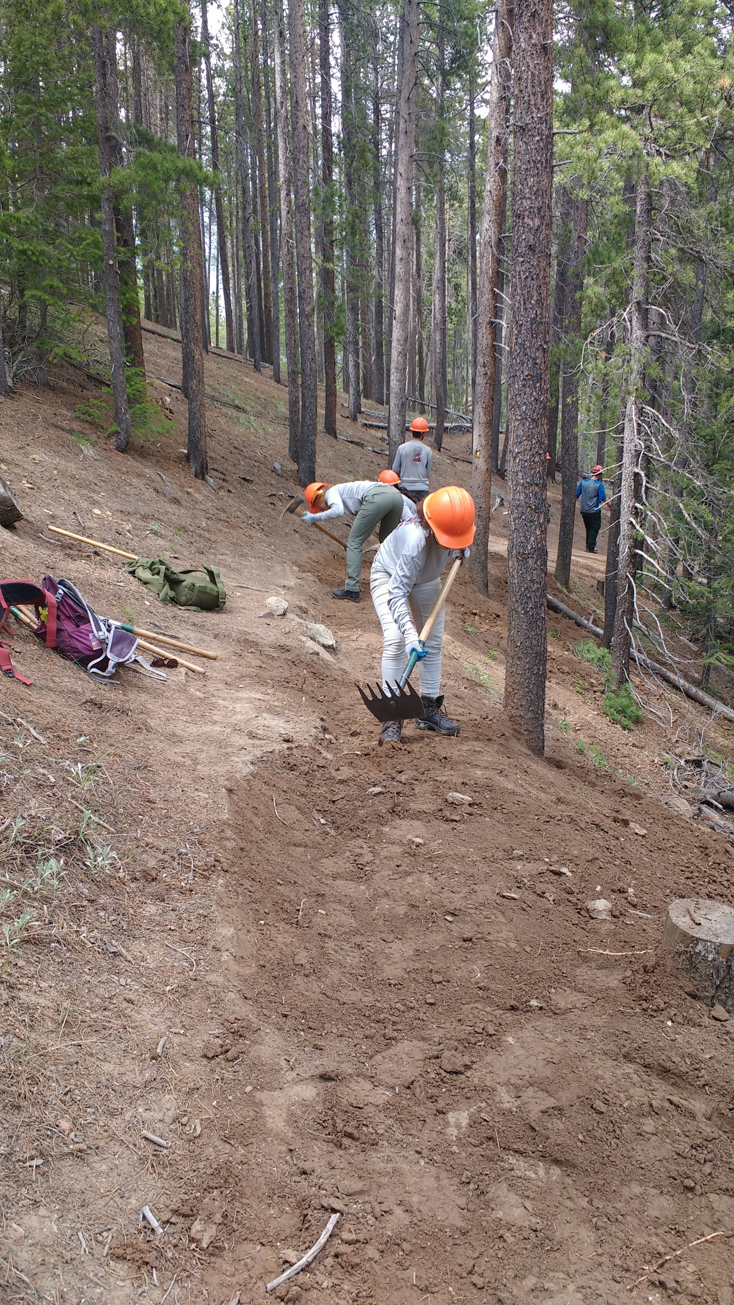 Two people in safety gear digging with shovels on a forest trail, with pine trees surrounding them.