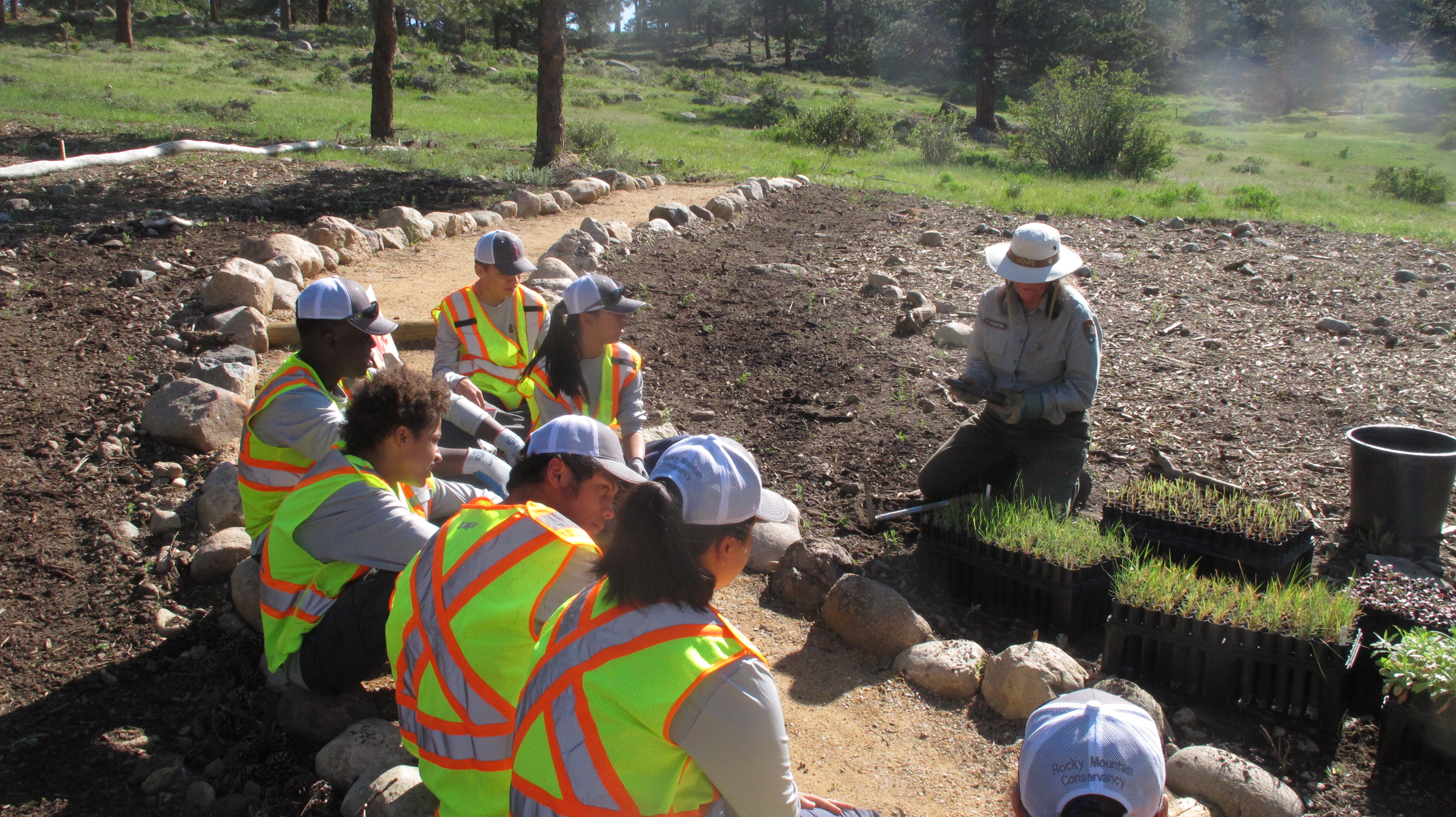 Group of workers in safety vests and helmets receiving training on plant restoration outdoors.