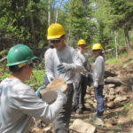 A group of men in hard hats working in a wooded area.