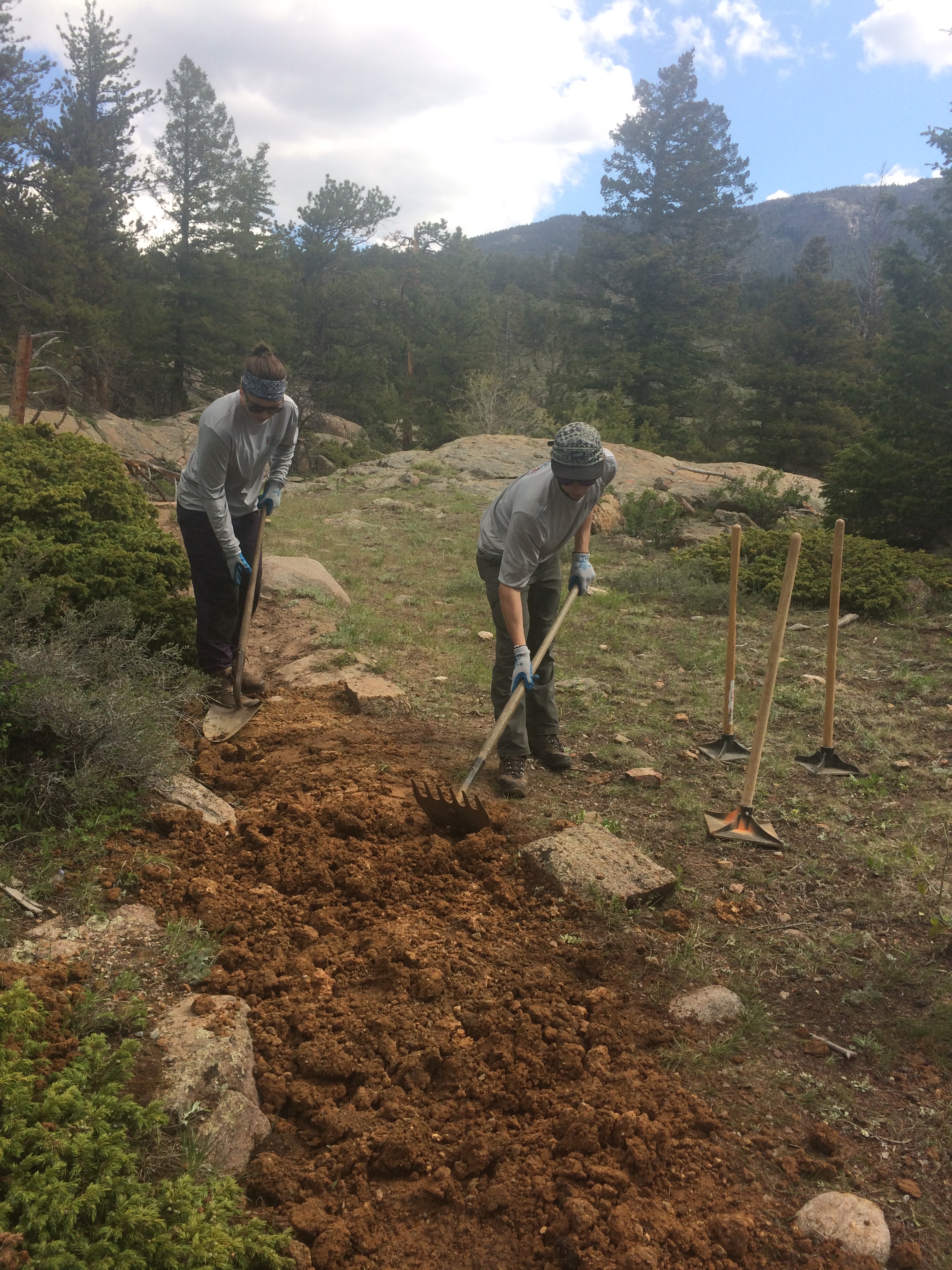 Two people digging a trench in a forested area with shovels