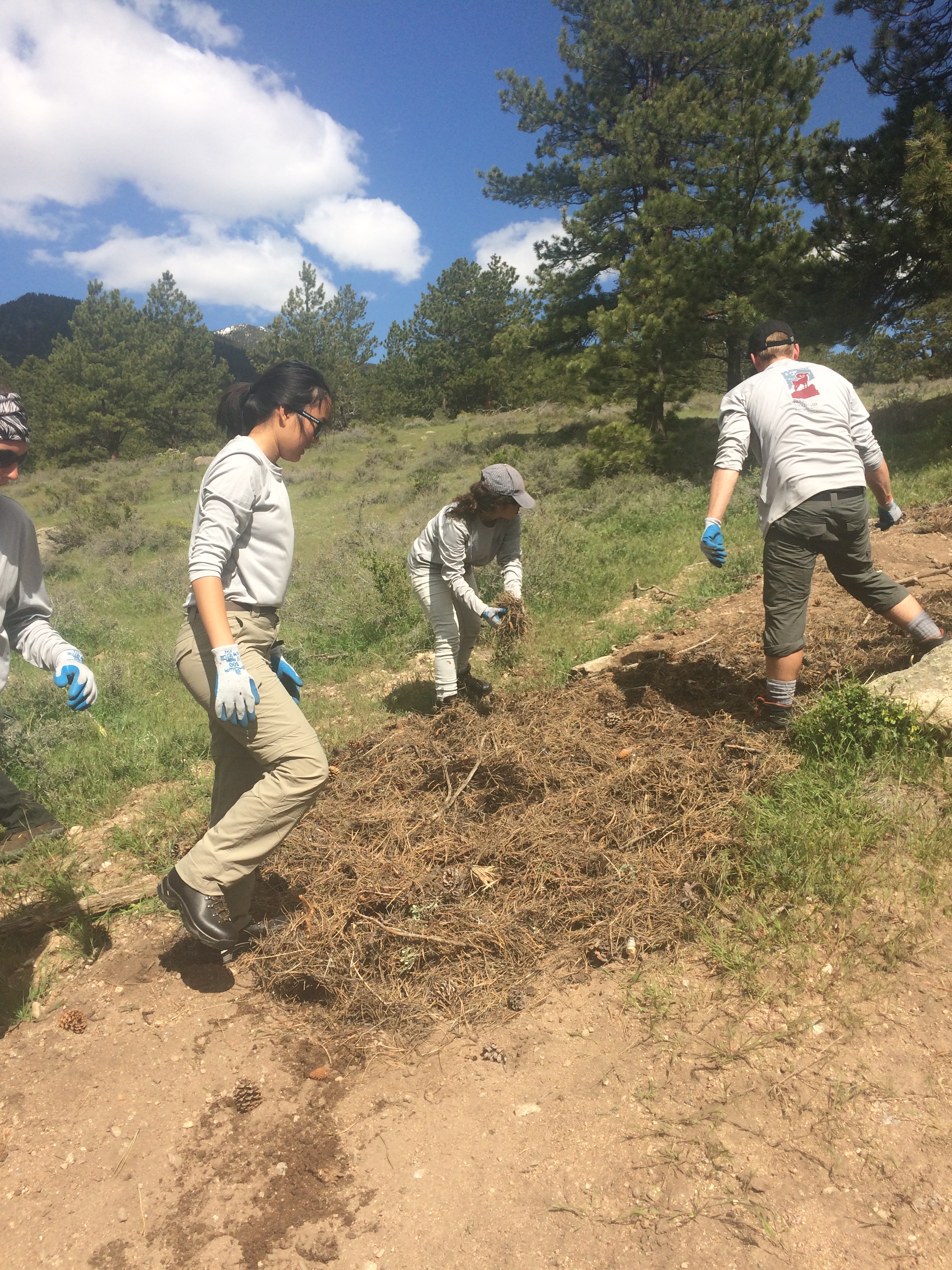 Volunteers work on clearing vegetation from a trail in a forested area